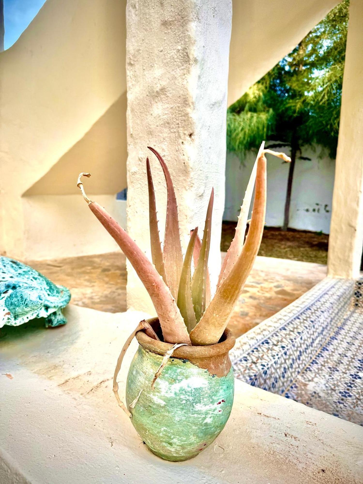 Dar Oueghlani - Maison D'Hotes El Mây Buitenkant foto